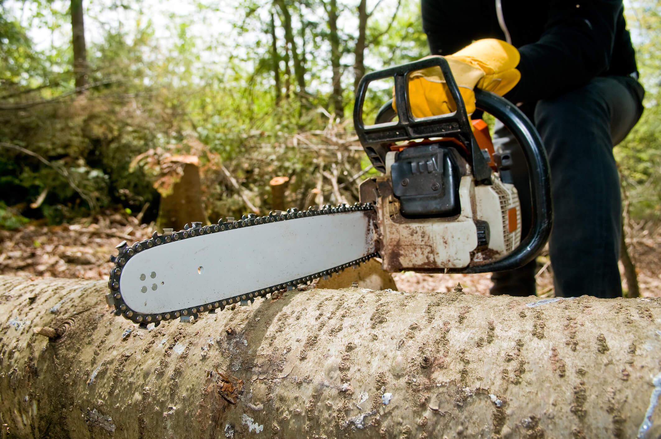 Chainsaw Training Courses